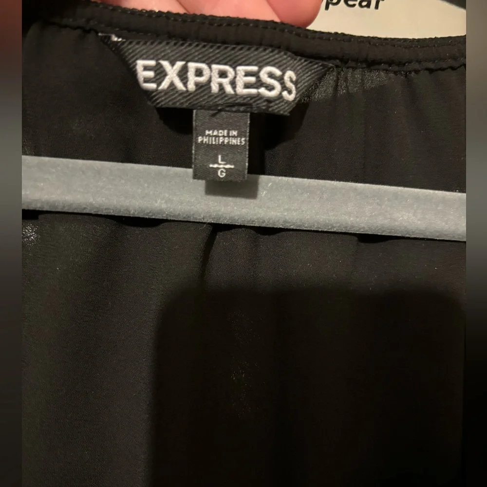 Express Dress - Picture 3 of 3